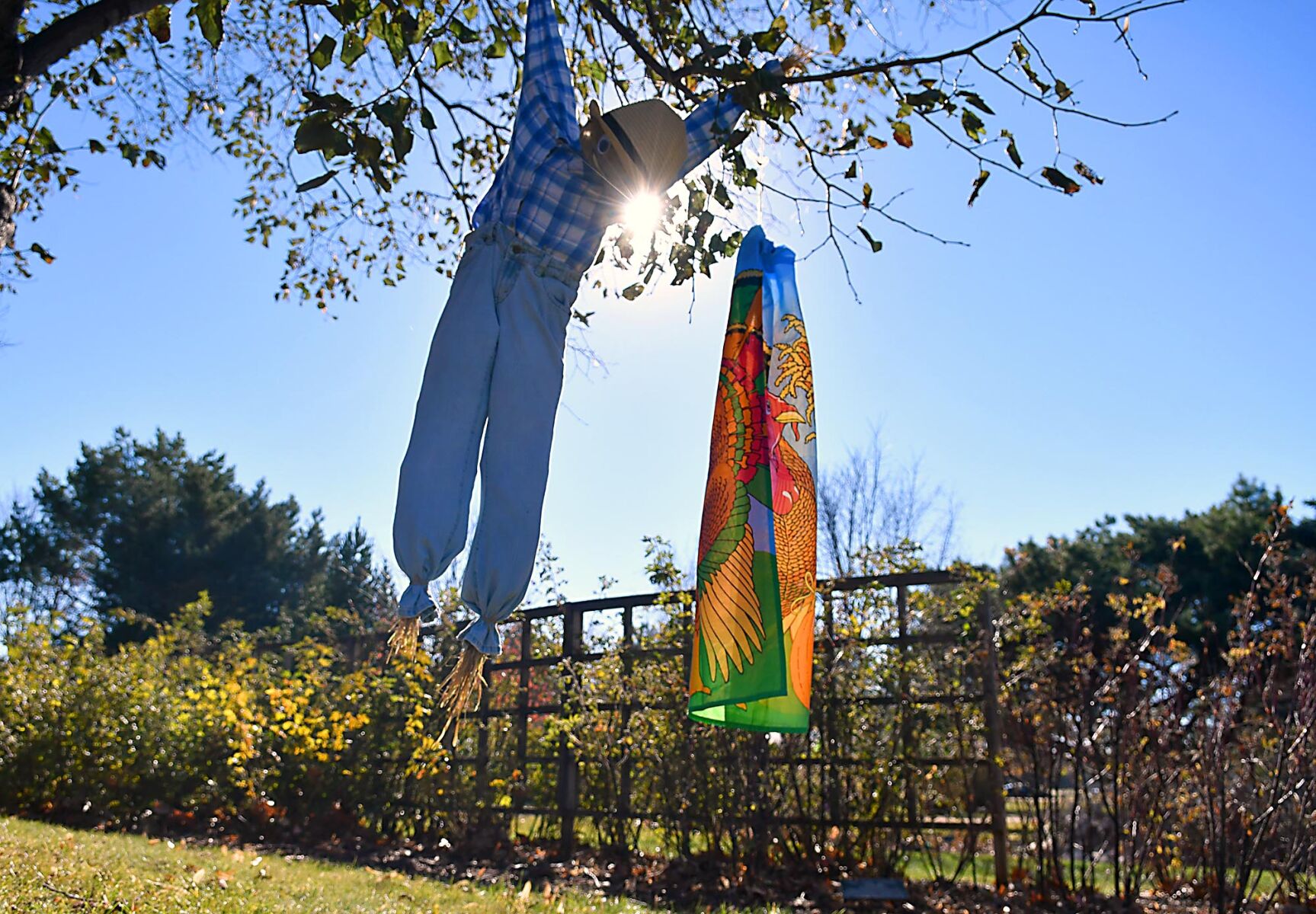 Scarecrows 1